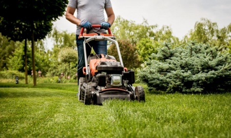 Entretien des espaces verts, quelles solutions pour un jardin toujours impeccable ?