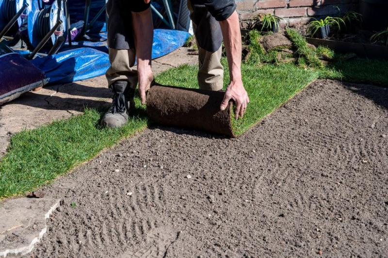 R&eacute;ussir votre engazonnement : techniques et p&eacute;riodes id&eacute;ales